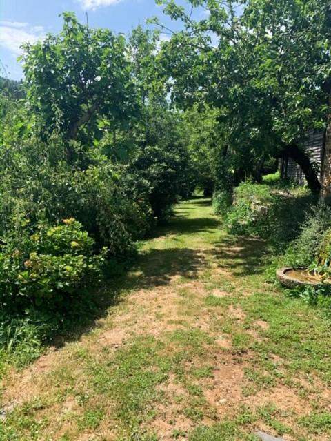 Finca Salvador Baralla ภายนอก รูปภาพ